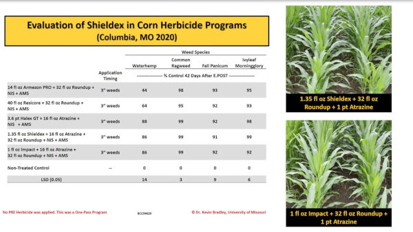U. of Missouri researchers observe great results with SHIELDEX in 2020! -  SummitAgro USA